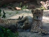20140622-IMG 5892