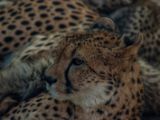 20140622-IMG 5928
