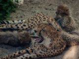20140622-IMG 5936