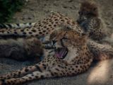 20140622-IMG 5937