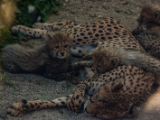 20140622-IMG 5941
