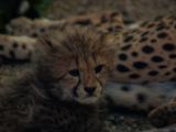 20140622-IMG 5942