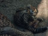 20140622-IMG 5948