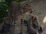 20140622-IMG 5955