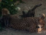 20140622-IMG 5966