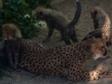 20140622-IMG 5968