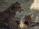 20140622-IMG 5986
