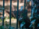 20140622-IMG 6025