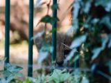 20140622-IMG 6028
