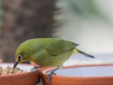 20130324-IMG 8970