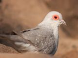 20130324-IMG 9020