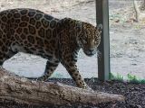 20130324-IMG 9084