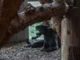 20130324-IMG 9091