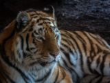 20130324-IMG 9141