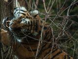 20130324-IMG 9153