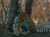 20130324-IMG 9154