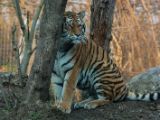 20130324-IMG 9156