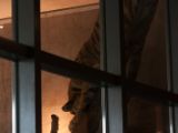 20130324-IMG 9165