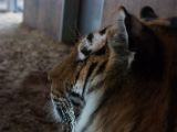 20130324-IMG 9171
