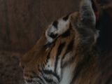 20130324-IMG 9173
