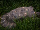 IMG 6178