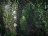 IMG 6531