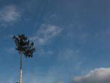 IMG 6538