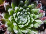 20140609-IMG 5600