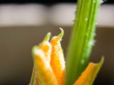 20140609-IMG 5608