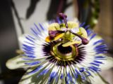 20140622-IMG 5613