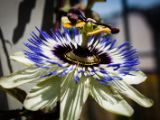 20140622-IMG 5616