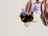 20140622-IMG 5617
