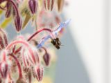 20140622-IMG 5618