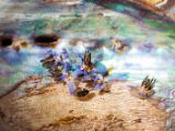 20140622-IMG 5619