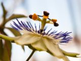 20140622-IMG 5620