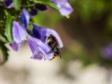 20140713-IMG 6081