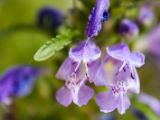 20140713-IMG 6085