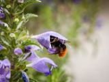 20140713-IMG 6133