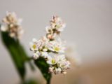 IMG 6843