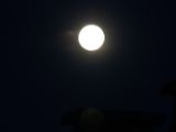20140810-IMG 7153