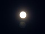 20140810-IMG 7155