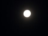 20140810-IMG 7159