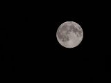 20140810-IMG 7172