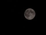 20140810-IMG 7173