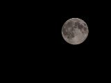 20140810-IMG 7174