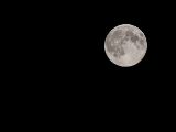 20140810-IMG 7176