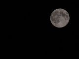 20140810-IMG 7178