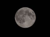 20140810-IMG 7180