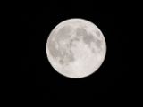 20140810-IMG 7181