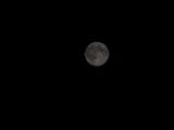 20140810-IMG 7183